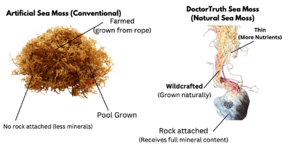 Halark™ 100% Wildcrafted Raw Sea Moss (2oz)